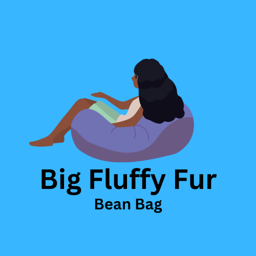 Big Fluffy Fur Bean Bag